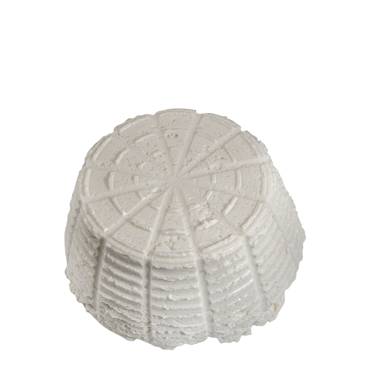 RICOTTA