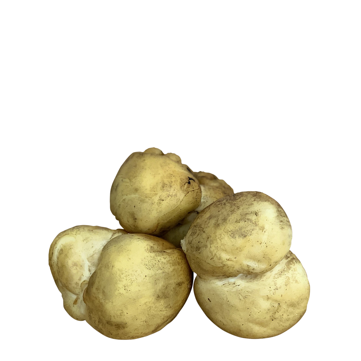 FORMAGGI FRESCHI