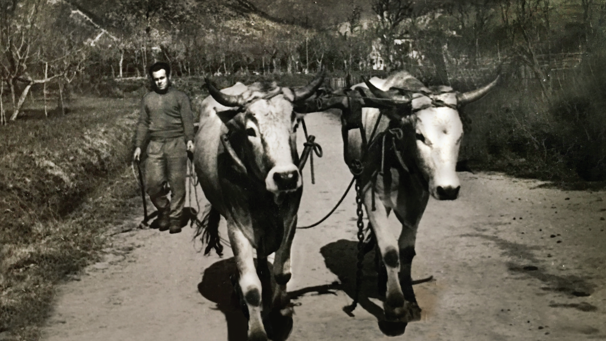 Passione da tre generazioni!